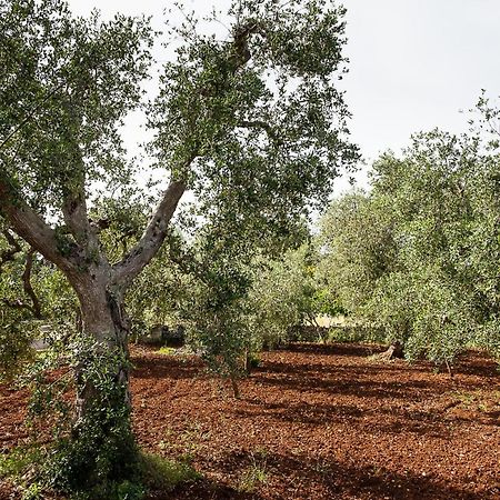 Villetta Da Zio Marcello أوستوني المظهر الخارجي الصورة